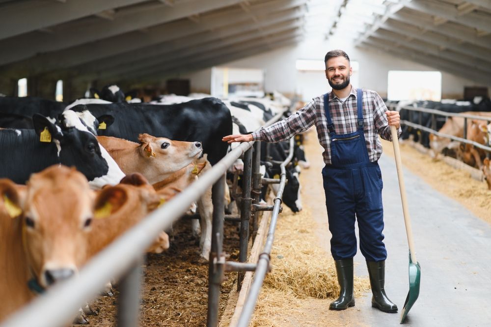 Геномная селекция, границы сельхозугодий и поддержка малого бизнеса: главные новости агробизнеса