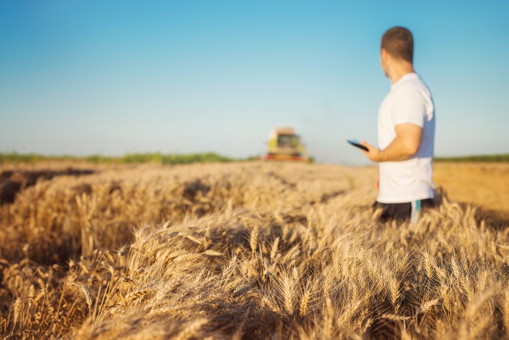 Как продавать зерно онлайн: пошаговая инструкция для фермера