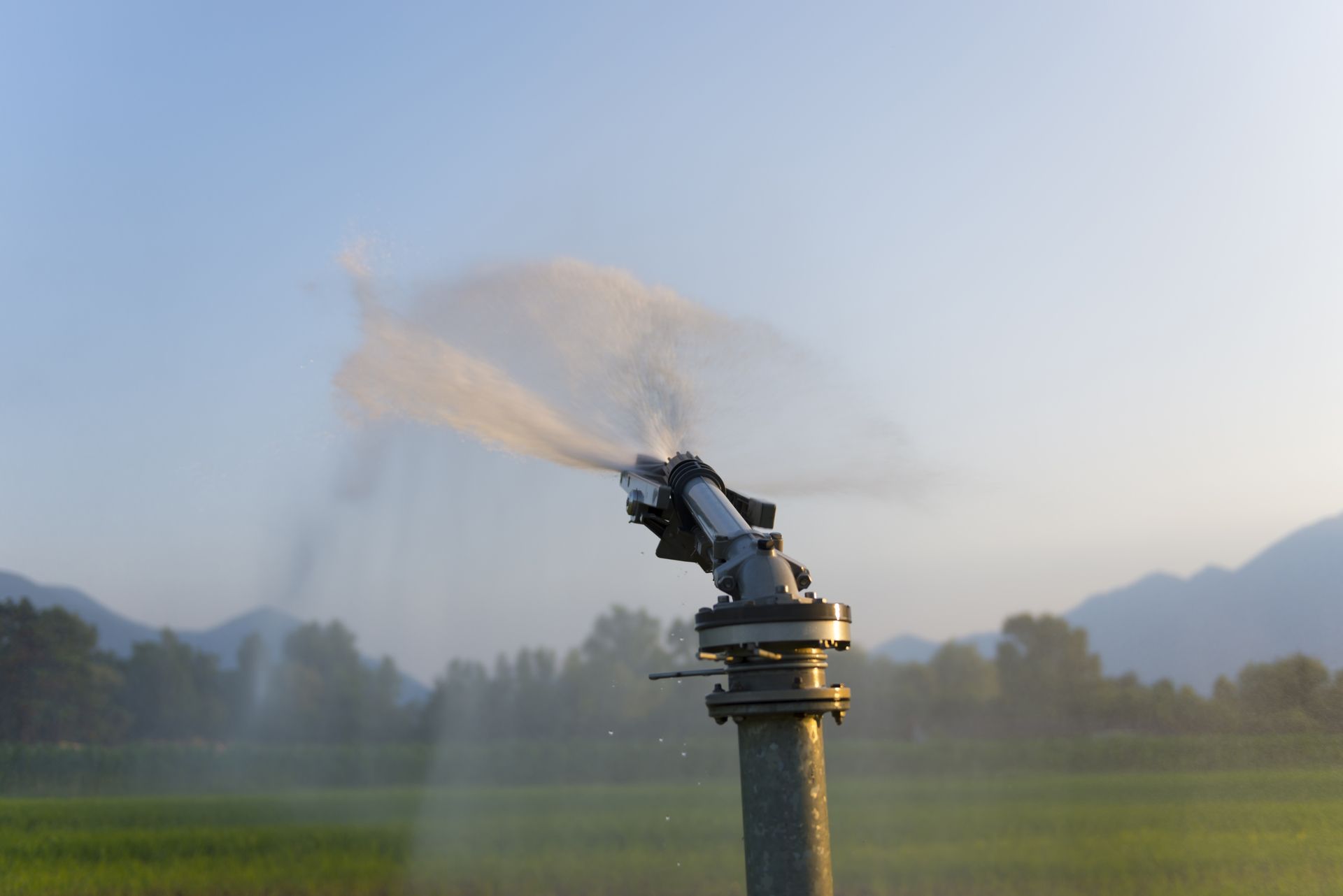 Сорбенты и орудия для экономии воды на водоемких сельхозкультурах