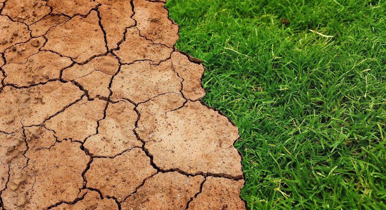 Биодеградация почв: причины и методы борьбы 