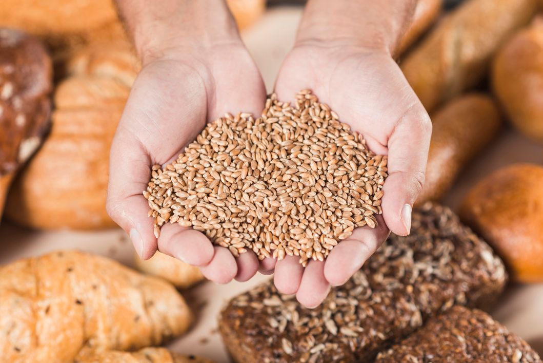 Глубокая переработка зерна: новые технологии для хорошего дохода