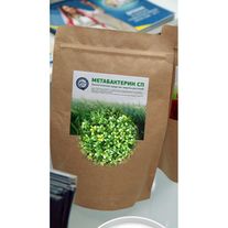 Биологический фунгицид Метабактерин