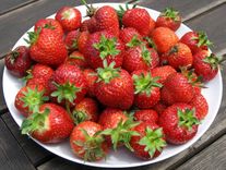 Ягода клубники