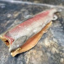 Форель без головы (заморозка)