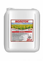 Молоток, ВР