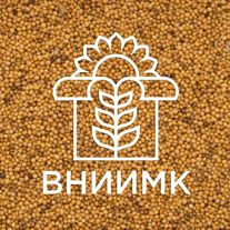 Горчица желтая яровая ВНИИМК, сорт "Алиса" (ЭС)