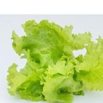 Салат "Афицион"