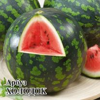 Семена Арбуз Холодок, 50г, Гавриш, Фермерское подворье