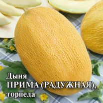 Семена Дыня торпеда Радужная (Прима), 10г, Гавриш, Фермерское подворье