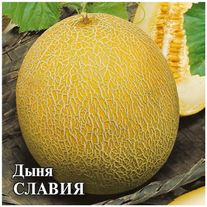 Семена Дыня Славия, 25г, Гавриш, Фермерское подворье