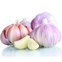 Чеснок свежий средний