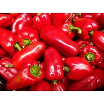 Перец болгарский