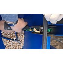 Чеснок "Любаша"