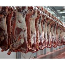 Мясо КРС (молодняк)