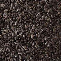 Семена подсолнечника ВНИИМК, гибрид Суринат