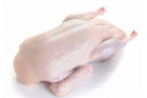 Тушка утки потрошеная (замороженная)