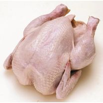 Куры бройлер