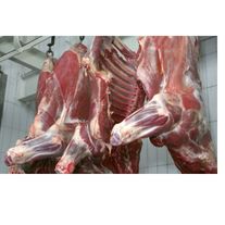 Мясо конина