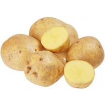 Картофель "Гала" крупный