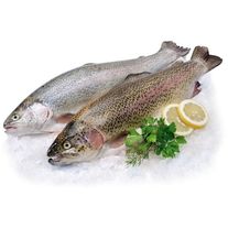 Форель радужная