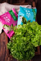 Салат "Листовой" 80 г