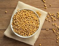 Соя Сибириада 23 РННС