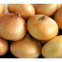 Лук репчатый "Арзамасский"