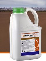 Максим Плюс, КС