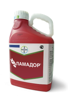 Ламадор, КС