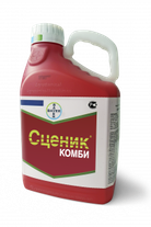 Сценик Комби, КС