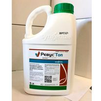 Ревус Топ, СК