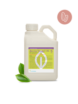 Доспех Квадра, КС