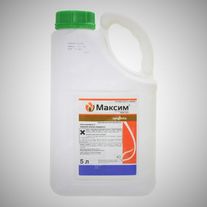 Максим Голд, КС