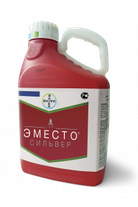 Эместо Сильвер, КС