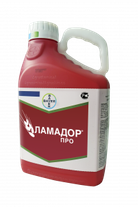 Ламадор Про, КС