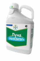 Луна Транквилити, КС