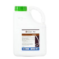 Селест Топ, КС