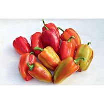 Перец болгарский сладкий