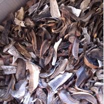 Подосиновик сушёный