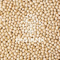 Семена сои ВНИИМК, сорт "Баргузин"