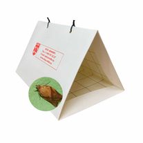 Феромонная ловушка (Диспенсер с феромоном) Австралийская многоядная листовёртка (лат. Epiphyas postvittana)