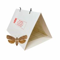 Феромонная ловушка (Диспенсер с феромоном) Восточная плодожорка (лат. Grapholita molesta)