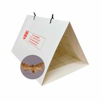 Феромонная ловушка (Диспенсер с феромоном) Хлопковая моль (лат. Pectinophora gossypiella)