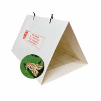 Феромонная ловушка (Диспенсер с феромоном) Азиатская хлопковая совка (лат. Spodoptera litura)