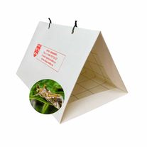 Феромонная ловушка (Диспенсер с феромоном) Зеленая садовая совка (лат. Chrysodeixis eriosoma)