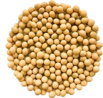 Семена сои "Сентябринка"