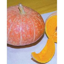 Семена Тыква Ольга