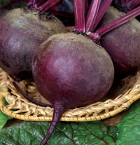 Свёкла сорта «Бордо круглая»
