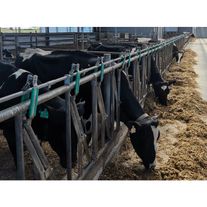 Самозакрывающийся кормовой забор "Хэдлок ТА"