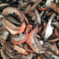 Гриб красноголовик сушеный